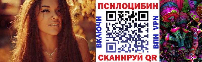 Псилоцибиновые грибы Cubensis  Купить где  Альметьевск 